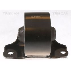 Variklio montavimas TRISCAN 8505 43100