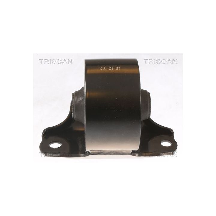 Variklio montavimas TRISCAN 8505 43100