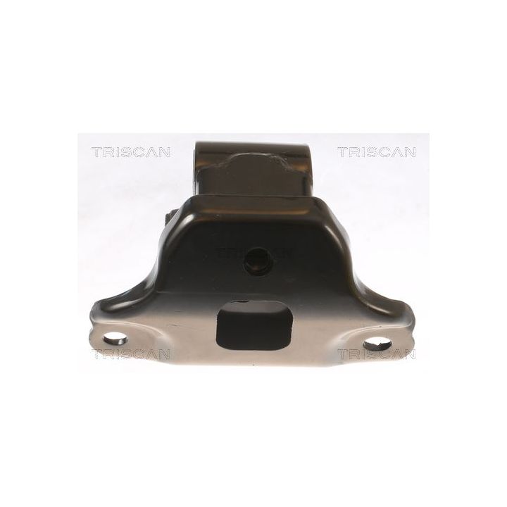 Variklio montavimas TRISCAN 8505 43100