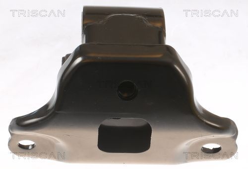 Variklio montavimas TRISCAN 8505 43100