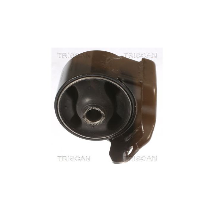 Variklio montavimas TRISCAN 8505 43100