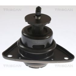 Variklio montavimas TRISCAN 8505 43101