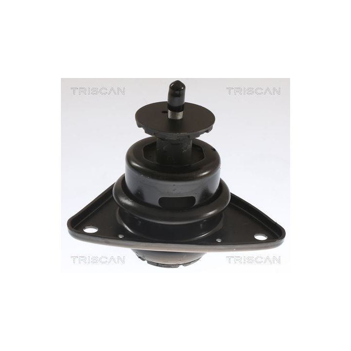 Variklio montavimas TRISCAN 8505 43101