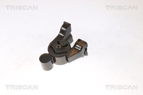 Variklio montavimas TRISCAN 8505 43102