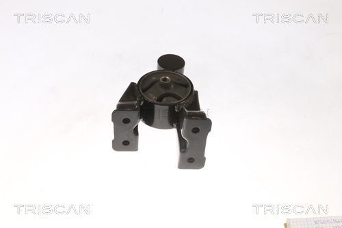 Variklio montavimas TRISCAN 8505 43102