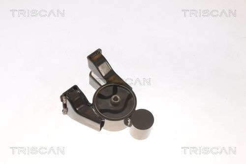Variklio montavimas TRISCAN 8505 43102