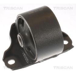 Variklio montavimas TRISCAN 8505 43106