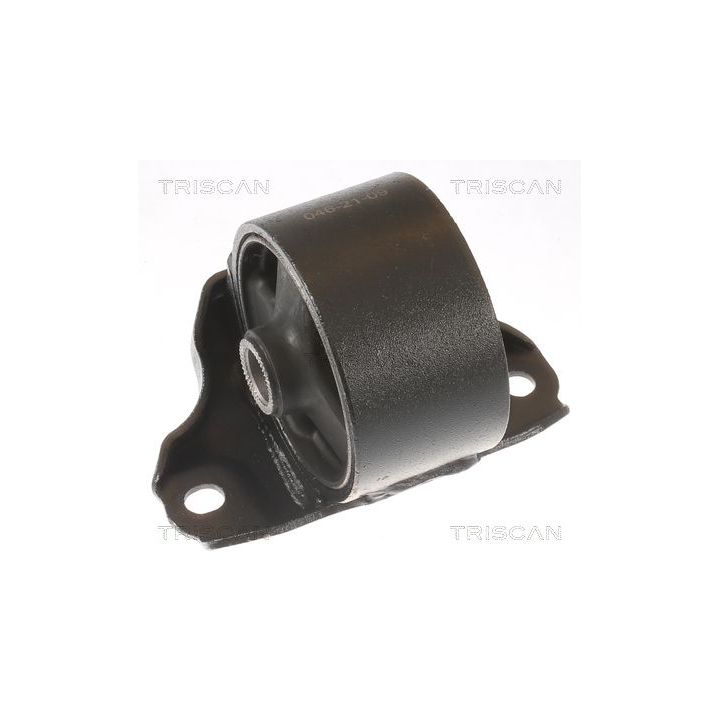 Variklio montavimas TRISCAN 8505 43106