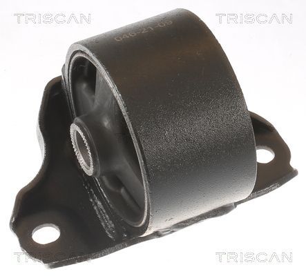 Variklio montavimas TRISCAN 8505 43106