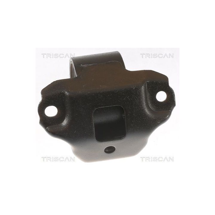 Variklio montavimas TRISCAN 8505 43106
