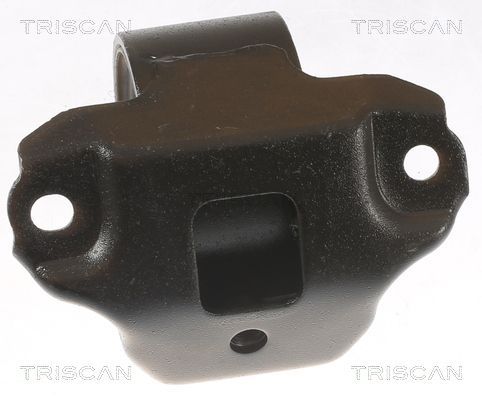 Variklio montavimas TRISCAN 8505 43106