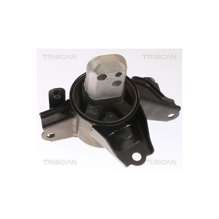 Variklio montavimas TRISCAN 8505 43107