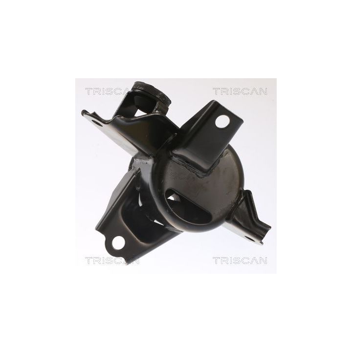 Variklio montavimas TRISCAN 8505 43107