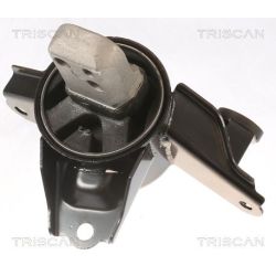 Variklio montavimas TRISCAN 8505 43108