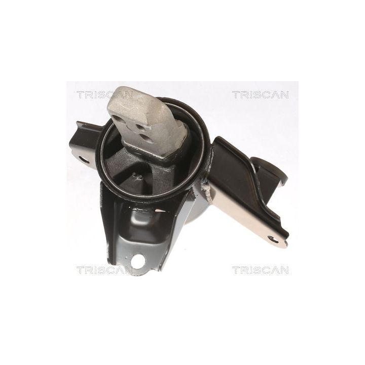 Variklio montavimas TRISCAN 8505 43108
