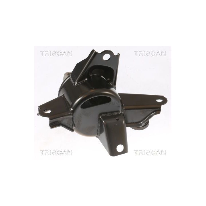Variklio montavimas TRISCAN 8505 43108