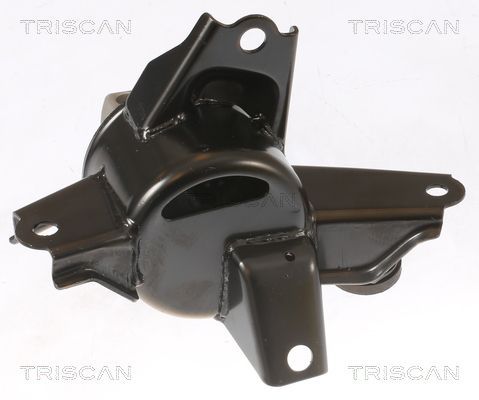 Variklio montavimas TRISCAN 8505 43108
