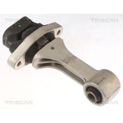 Variklio montavimas TRISCAN 8505 43109
