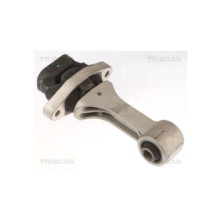 Variklio montavimas TRISCAN 8505 43109
