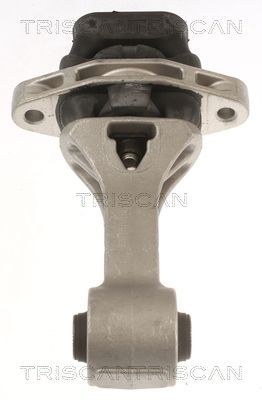 Variklio montavimas TRISCAN 8505 43109