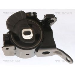 Variklio montavimas TRISCAN 8505 50100