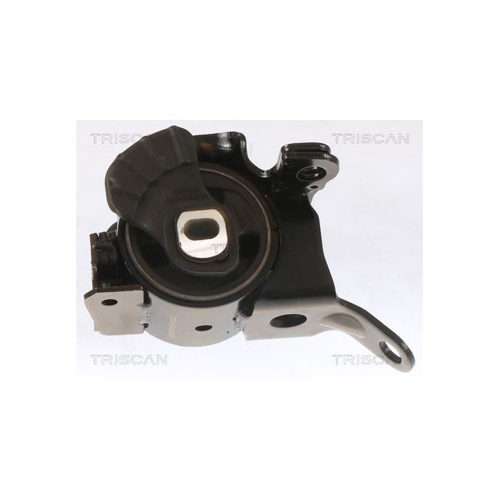 Variklio montavimas TRISCAN 8505 50100