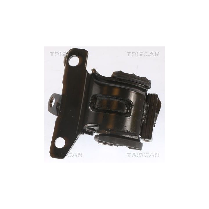 Variklio montavimas TRISCAN 8505 50100