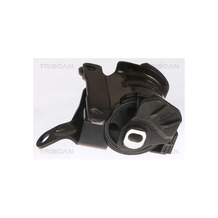 Variklio montavimas TRISCAN 8505 50100
