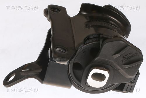 Variklio montavimas TRISCAN 8505 50100
