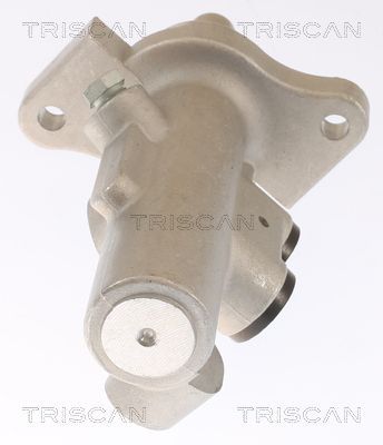Pagrindinis cilindras, stabdžiai TRISCAN 8130 29176