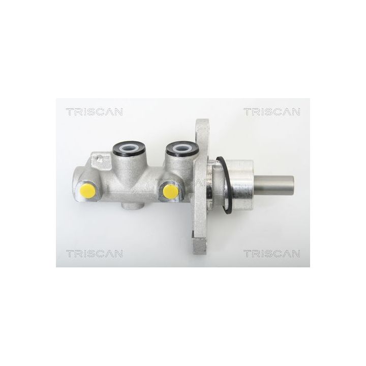 Pagrindinis cilindras, stabdžiai TRISCAN 8130 43100