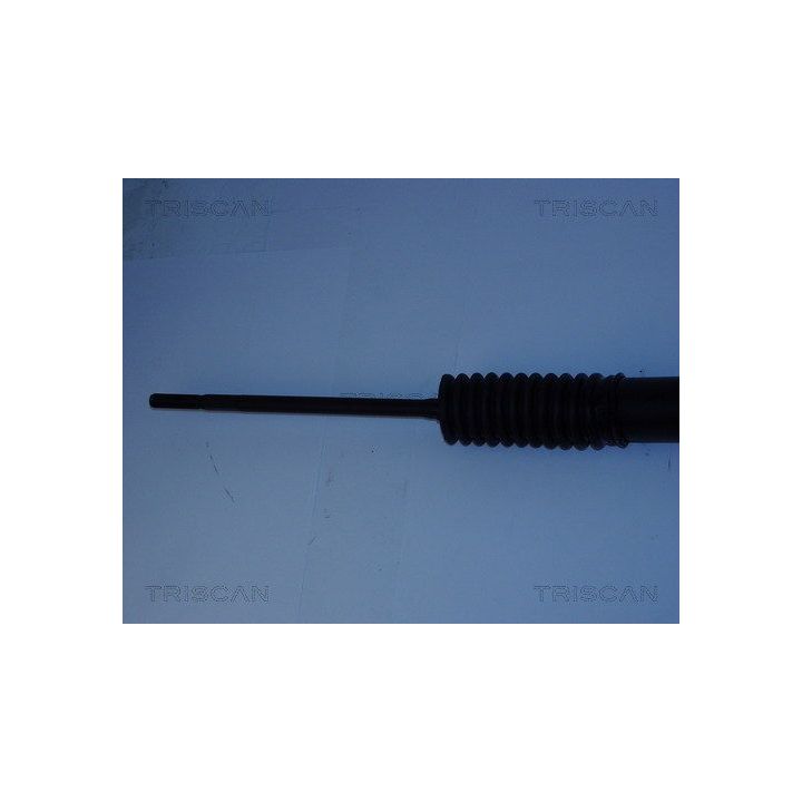 Vairo pavara TRISCAN 8510 50404