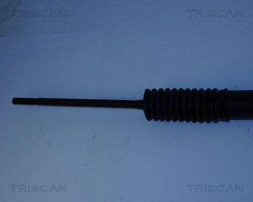 Vairo pavara TRISCAN 8510 50404