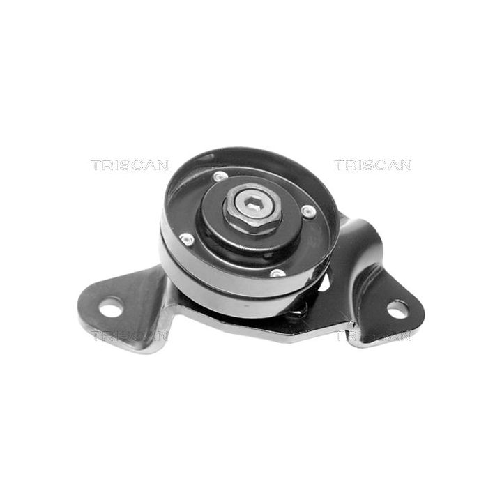 įtempiklio skriemulys, V formos rumbuotas diržas TRISCAN 8641 252007