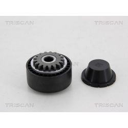 įtempiklio skriemulys, V formos rumbuotas diržas TRISCAN 8641 252020