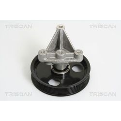 Kreipiantysis skriemulys, V formos rumbuotas diržas TRISCAN 8641 102031