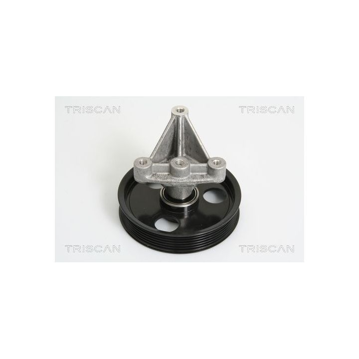 Kreipiantysis skriemulys, V formos rumbuotas diržas TRISCAN 8641 102031