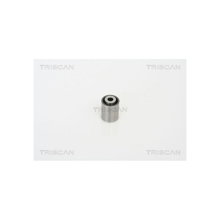 Kreipiantysis skriemulys, paskirstymo diržas TRISCAN 8646 18205