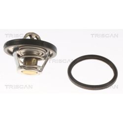 Termostatas, aušinimo skystis TRISCAN 8620 10582