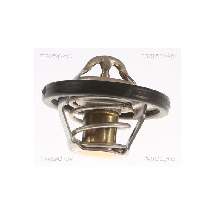 Termostatas, aušinimo skystis TRISCAN 8620 10582