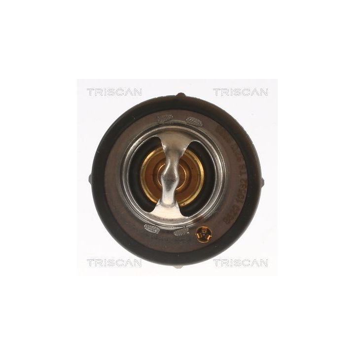 Termostatas, aušinimo skystis TRISCAN 8620 10582