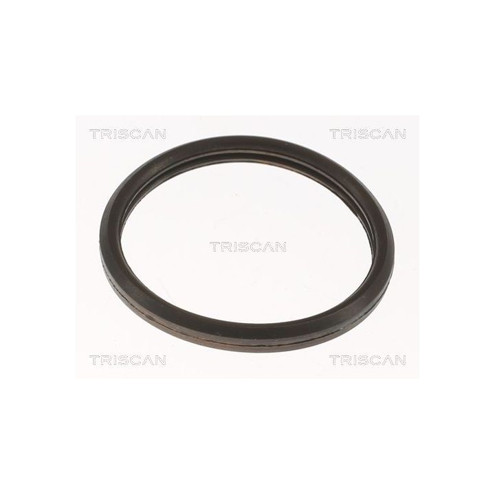 Termostatas, aušinimo skystis TRISCAN 8620 10582