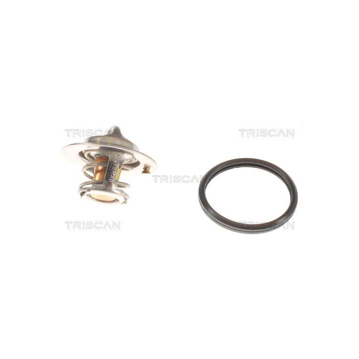 Termostatas, aušinimo skystis TRISCAN 8620 10588