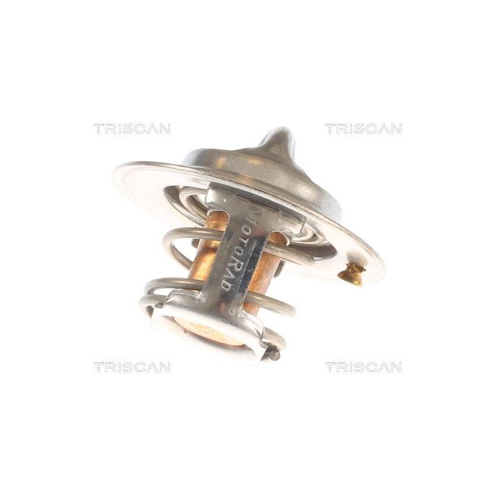 Termostatas, aušinimo skystis TRISCAN 8620 10588