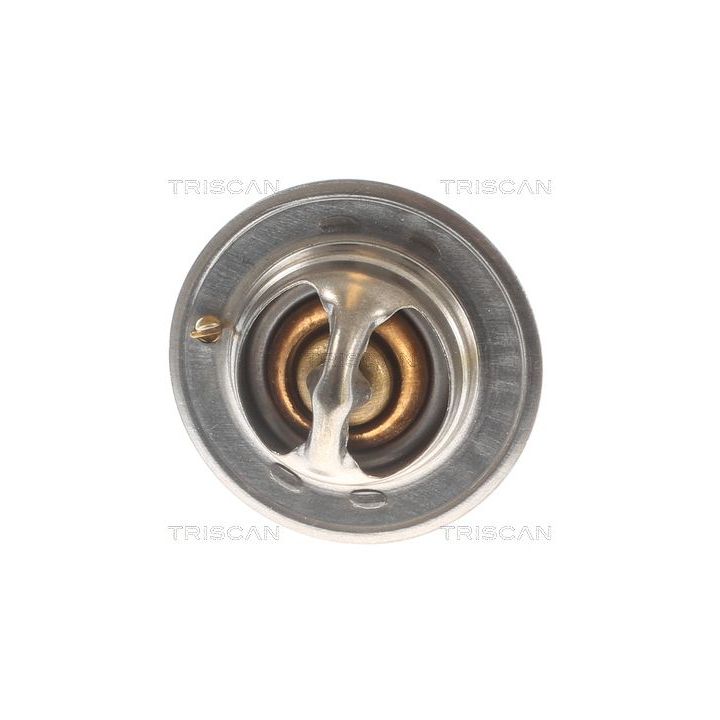 Termostatas, aušinimo skystis TRISCAN 8620 10588