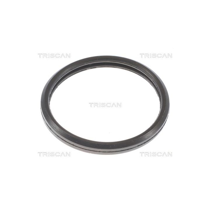 Termostatas, aušinimo skystis TRISCAN 8620 10588