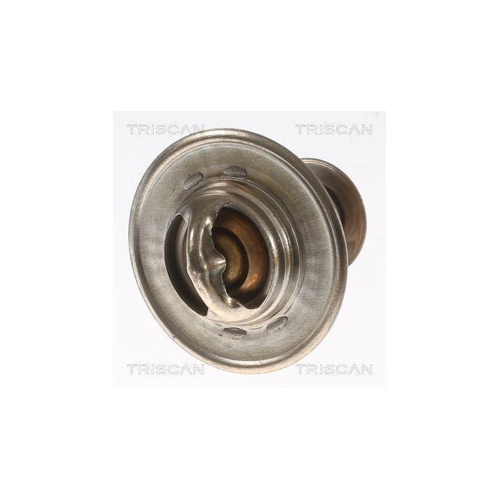 Termostatas, aušinimo skystis TRISCAN 8620 10682