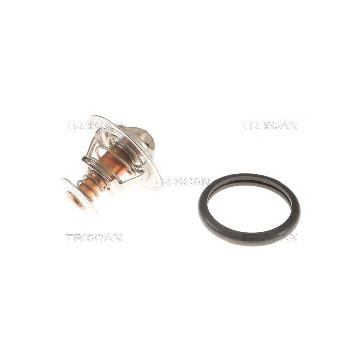 Termostatas, aušinimo skystis TRISCAN 8620 10691