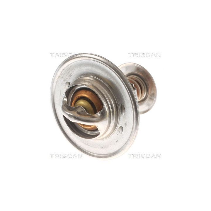 Termostatas, aušinimo skystis TRISCAN 8620 10691