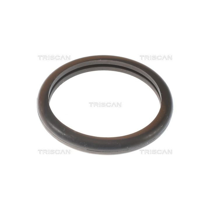 Termostatas, aušinimo skystis TRISCAN 8620 10691